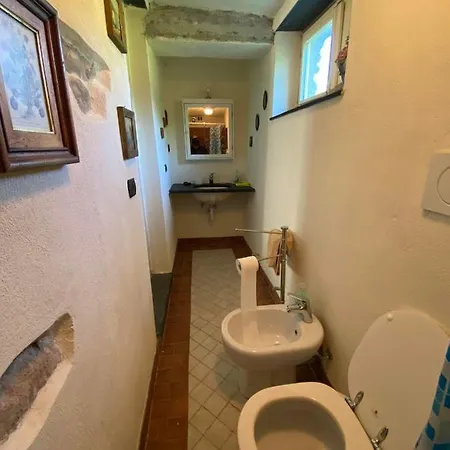 Apartment Molinazzo *